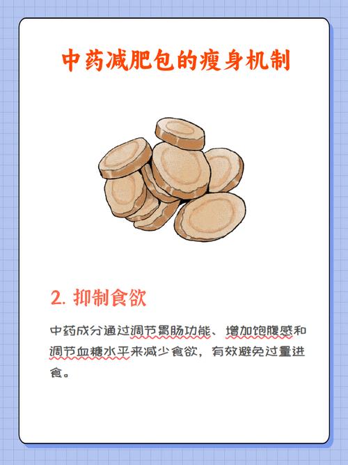 什么中药可以排脂肪减肥