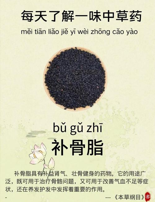 什么中药可以排脂肪减肥