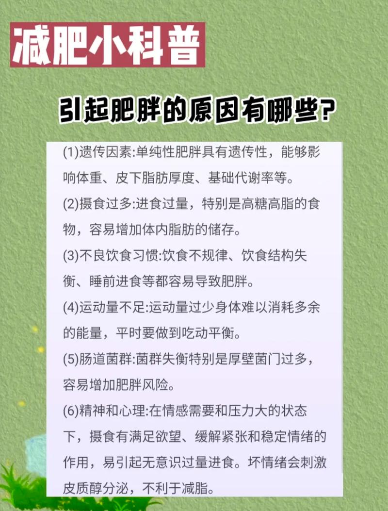 突然长胖是什么原因