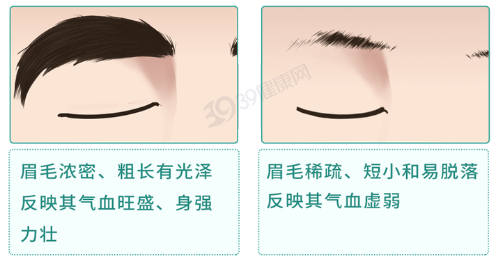 为什么眉毛会长长