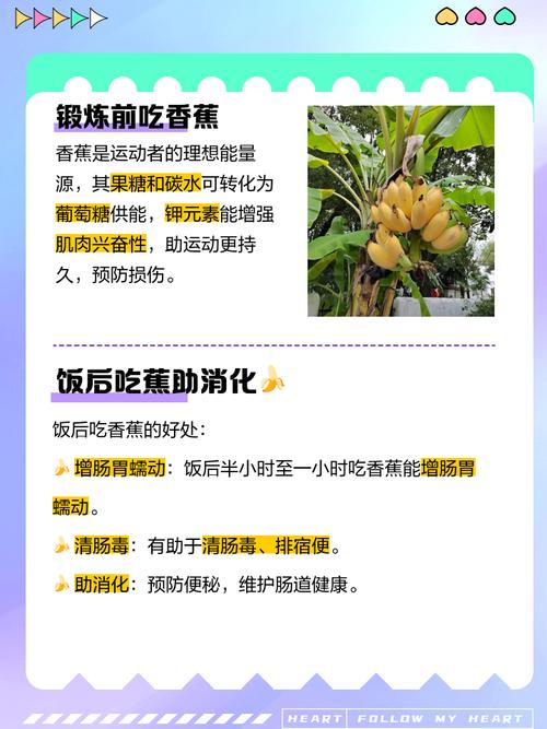 减肥什么时候吃香蕉