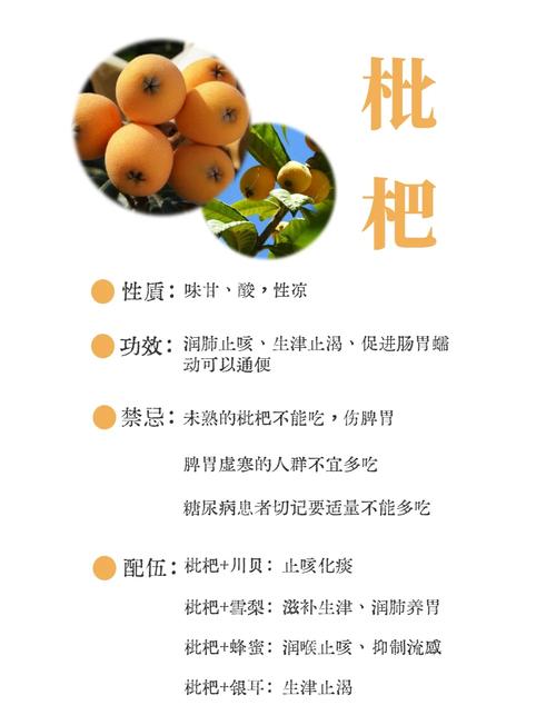 枇杷什么时候吃减肥