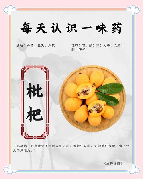 枇杷什么时候吃减肥