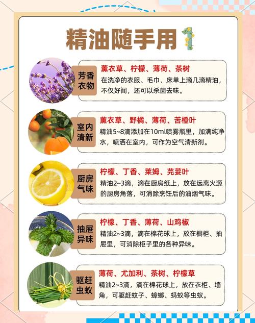 精油什么时候用最好