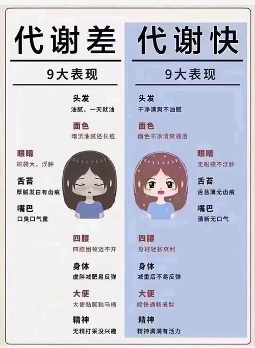 什么叫基础代谢