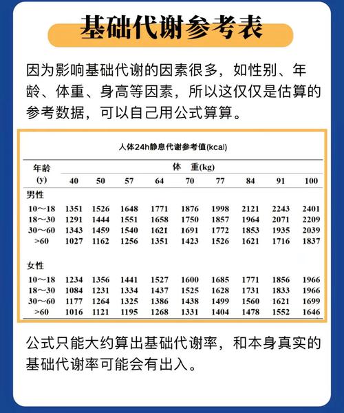 什么叫基础代谢