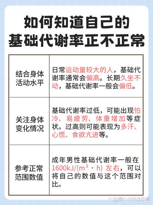 什么叫基础代谢
