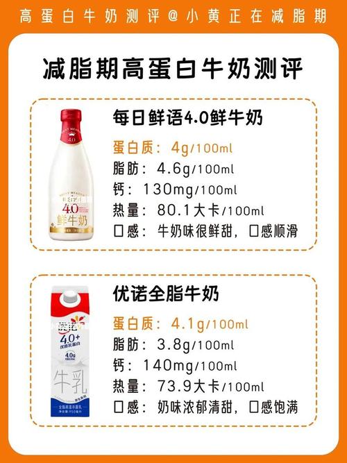 减肥期间喝什么奶