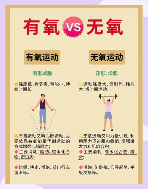 减肥配合什么无氧运动
