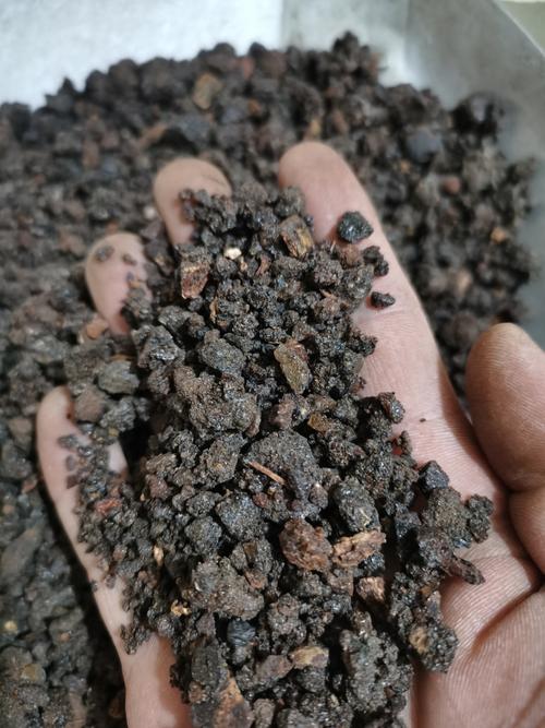 天然没药最新价格