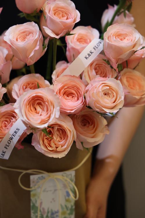 玫琳凯银玫瑰最新