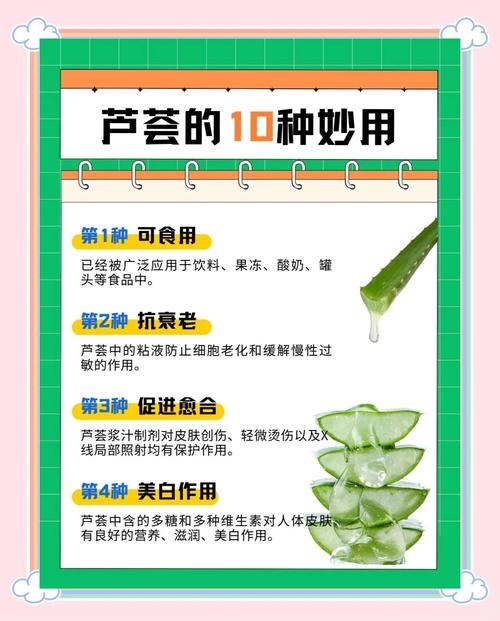 芦荟有什么作用和功效
