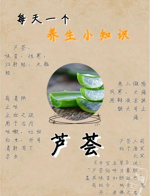 芦荟有什么作用和功效