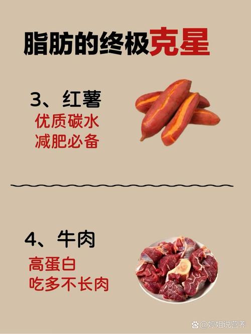 减肥不能缺什么营养