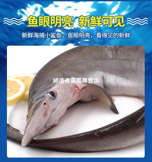 小白鲨最新价格