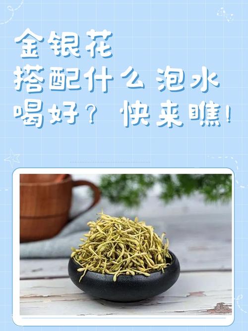 金银花配什么可以减肥