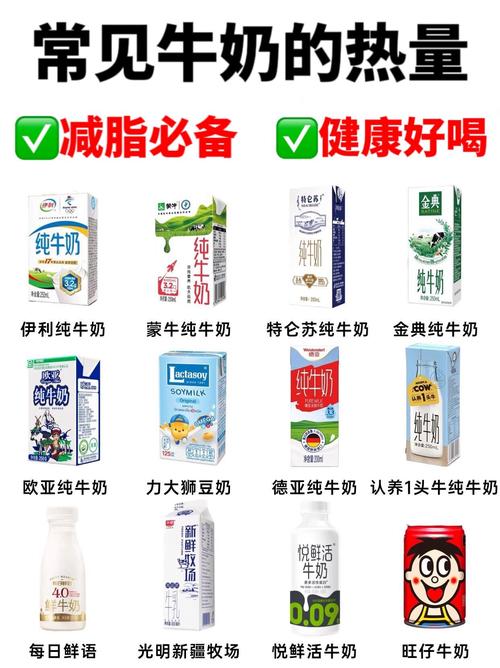 健身减肥该喝什么奶