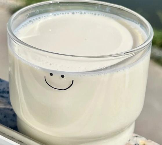 健身减肥该喝什么奶