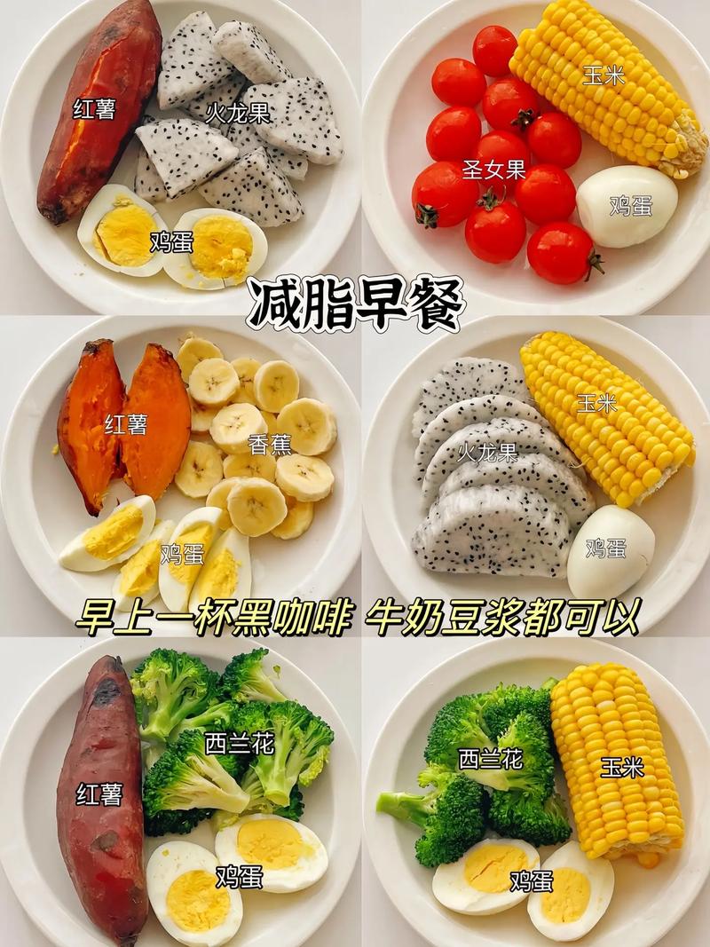 减肥中很饿可以吃什么好