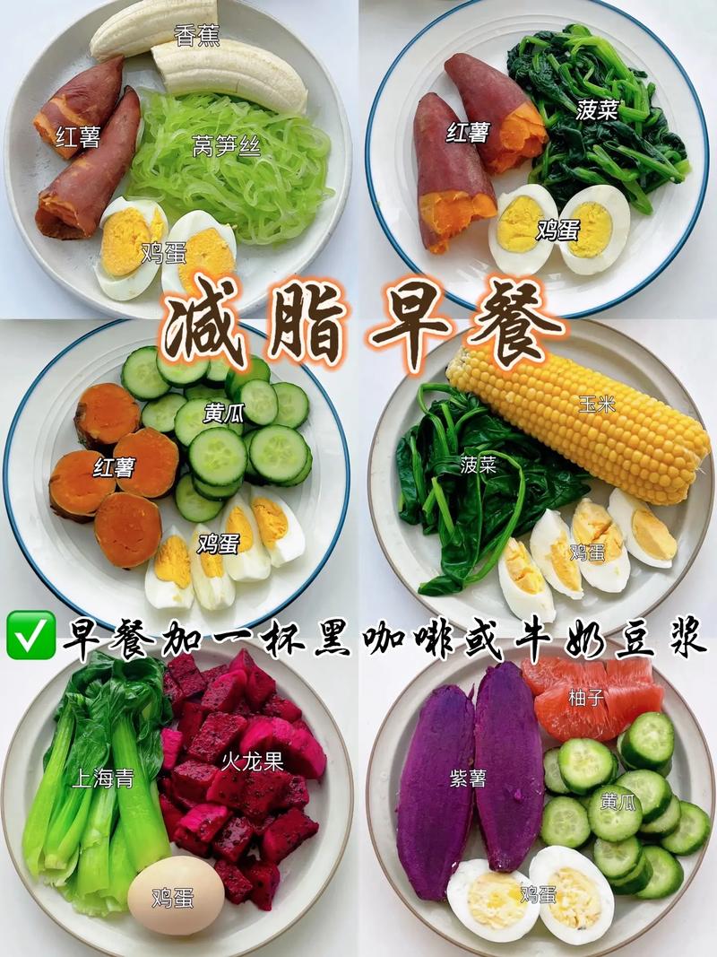 减肥中很饿可以吃什么好