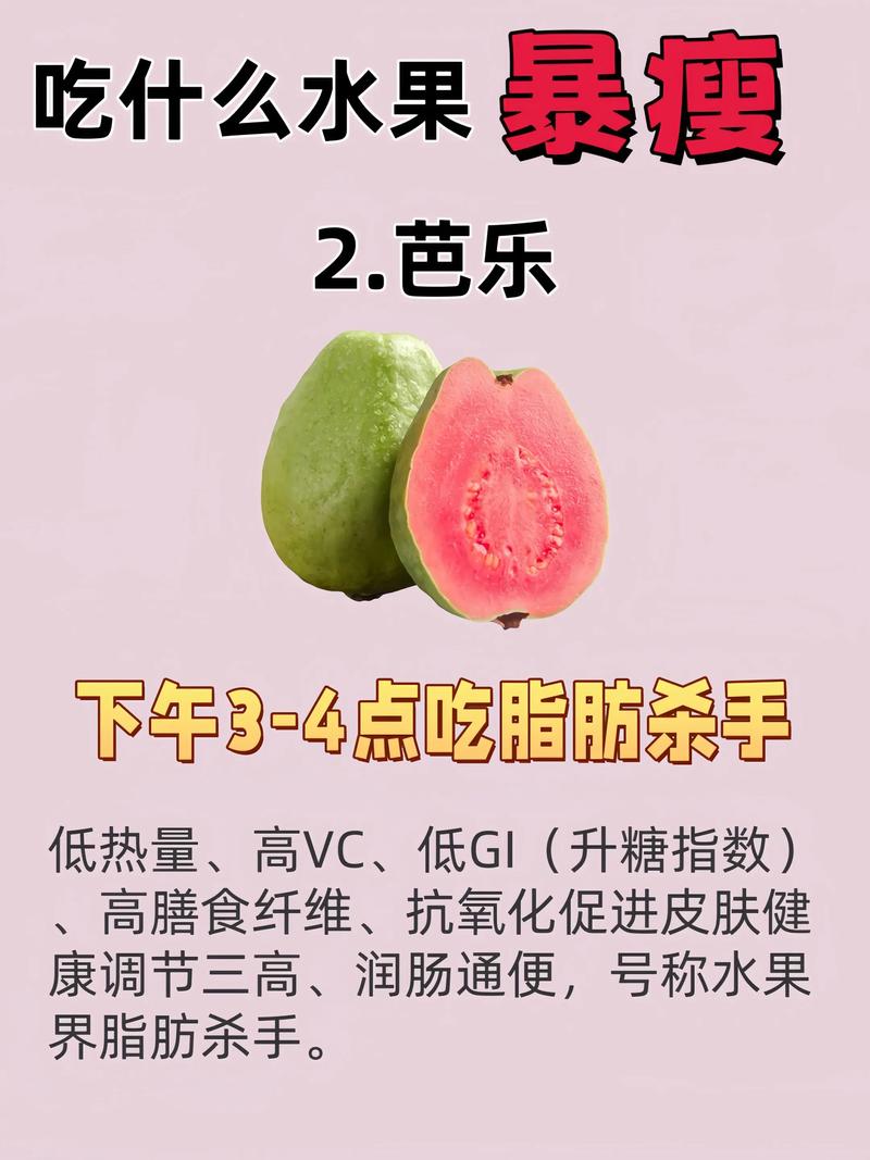 减肥中很饿可以吃什么