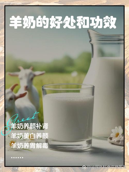 减肥中喝什么样奶