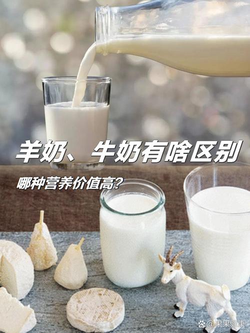 减肥中喝什么样奶