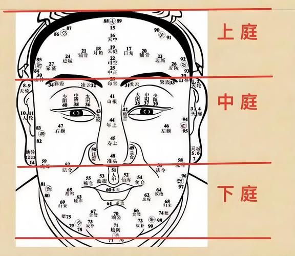 额头两侧叫什么