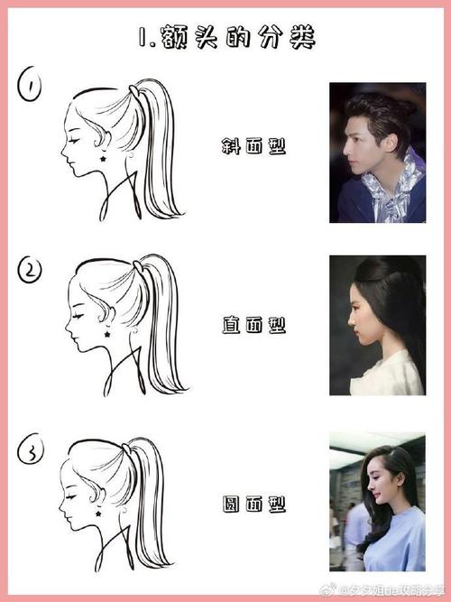 额头两侧叫什么