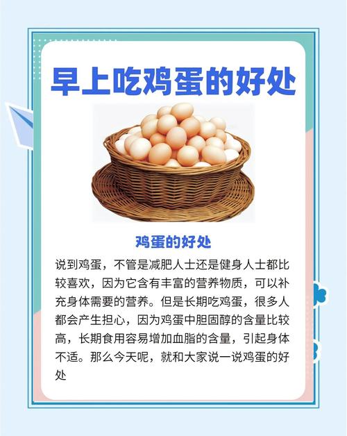 为什么减肥要吃鸡蛋