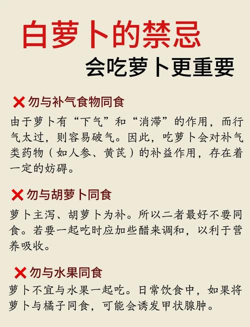 减肥为什么不能吃白萝卜