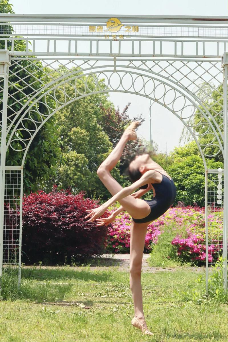 减肥跳的舞蹈是什么意思