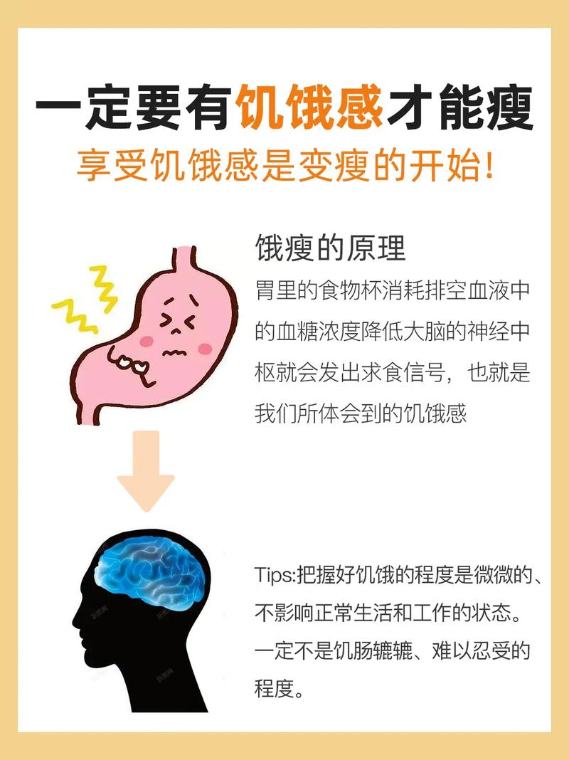 减肥特别饿为什么