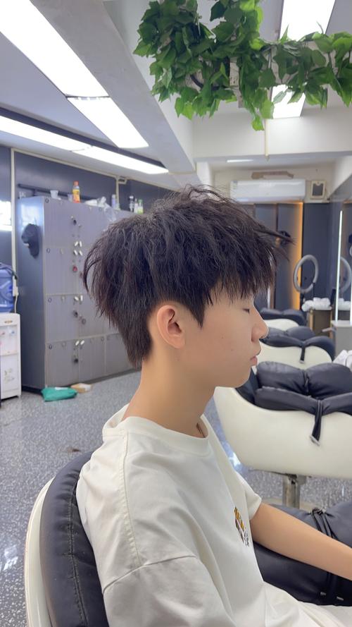 男生自然卷适合什么发型