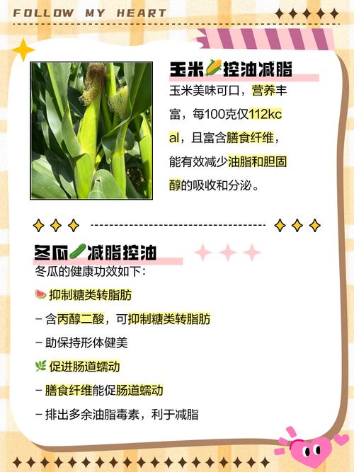 头发油吃什么调理