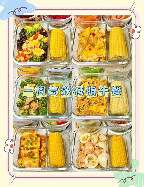 减肥期午饭吃什么比较好