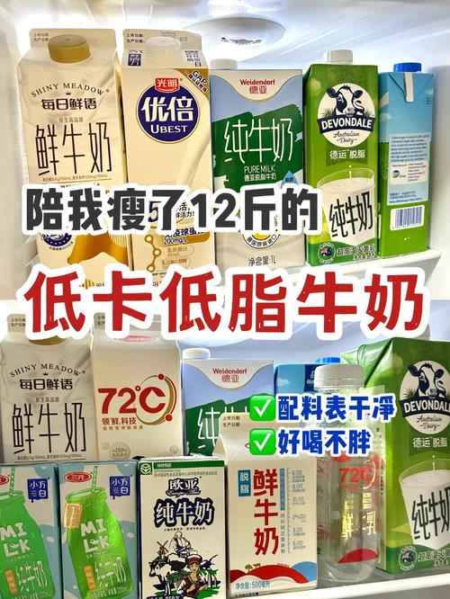 减肥期间要喝什么牛奶好