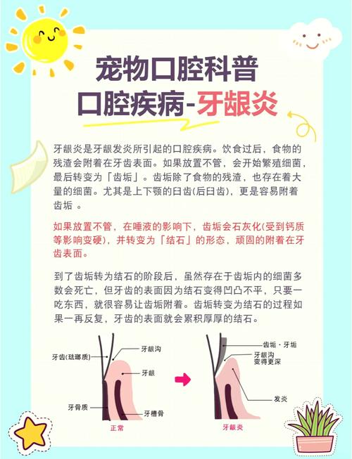 牙龈上火是什么原因