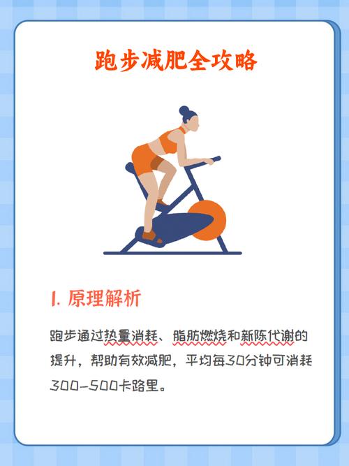 减肥跑完步后该做什么