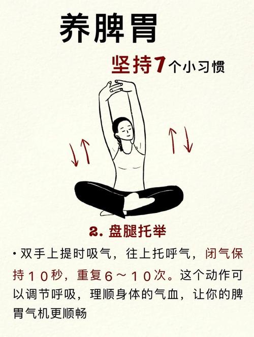 什么运动促进消化