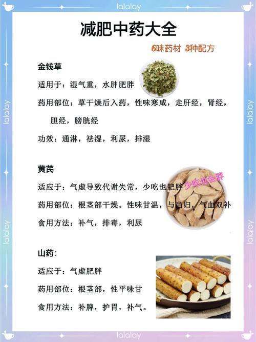 减肥服用什么中药好