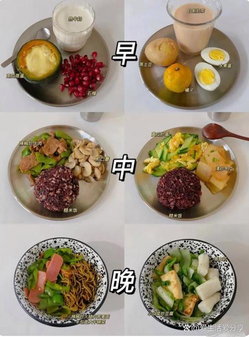 减肥第一天期吃什么好