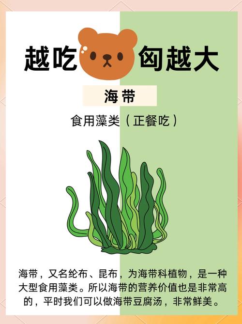 减肥的人适合吃什么奶