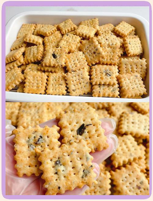 减肥吃什么苏打饼干