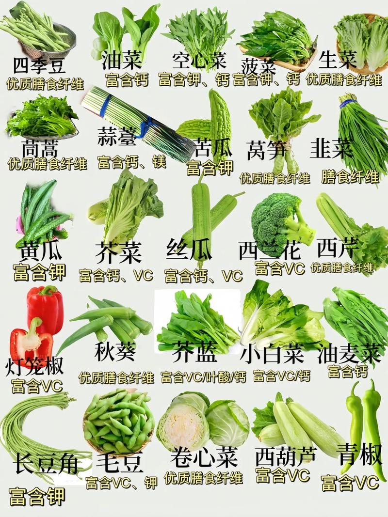 减肥吃什么青菜水果