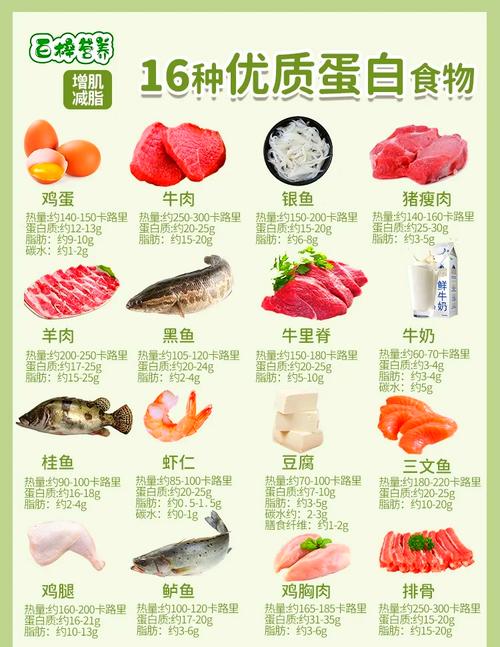 减肥吃什么蛋白质食物有哪些食物有哪些