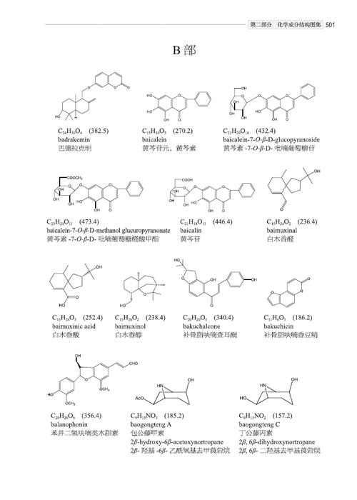 什么是活性成分