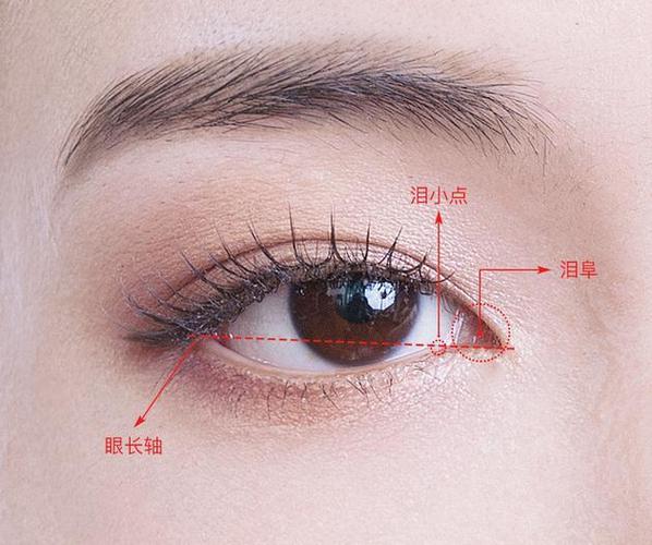 眼尾是什么