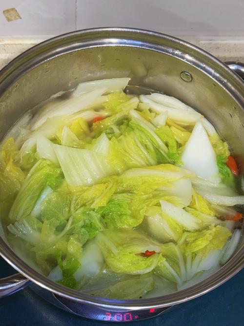 减肥白水煮蔬菜放什么