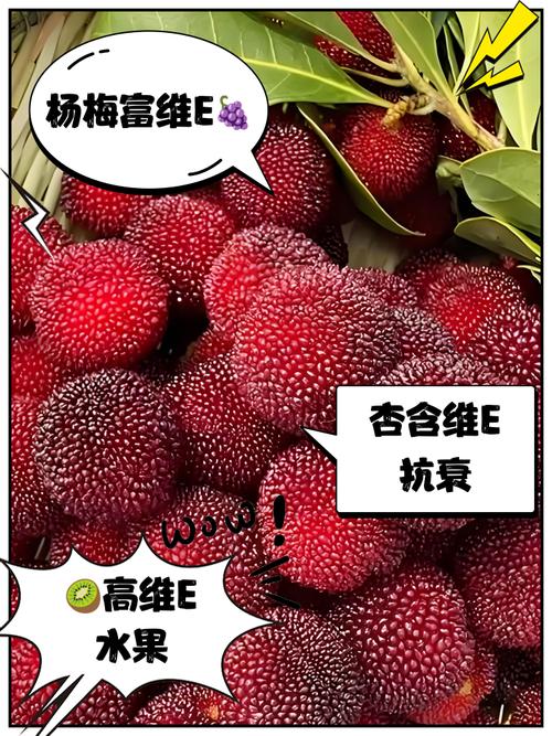 什么食物有维生素e